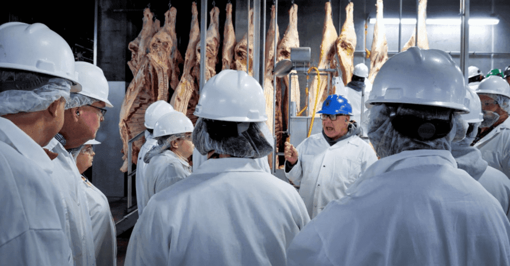 Slaughterhouse Work Is Still Some of the Most Exploited Labor in the World