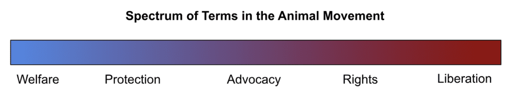 Spectrum of terms in the animal movement